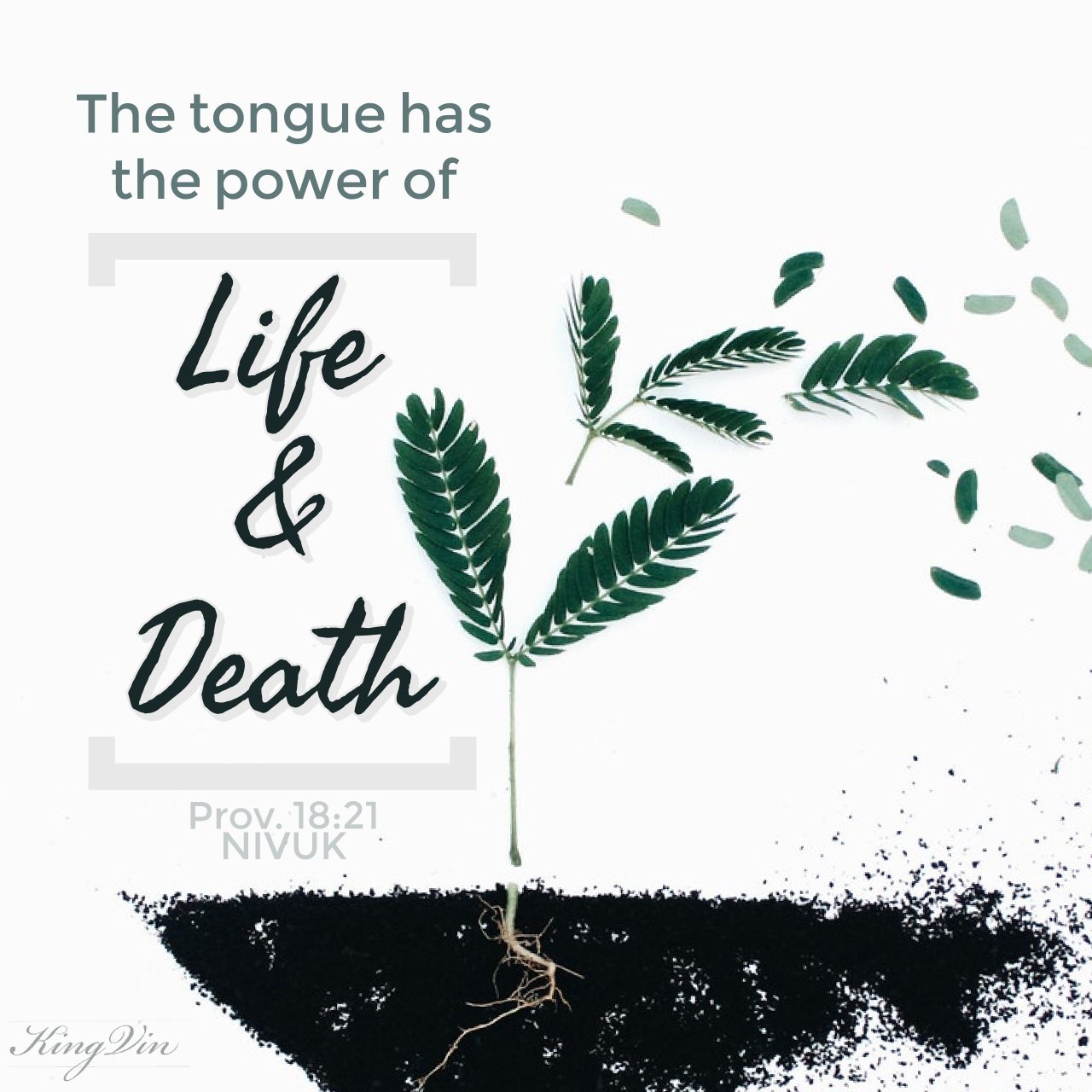 The tongue has the power of life and death, and those who love it will eat its fruit. Prov. 18:21 NIVUK