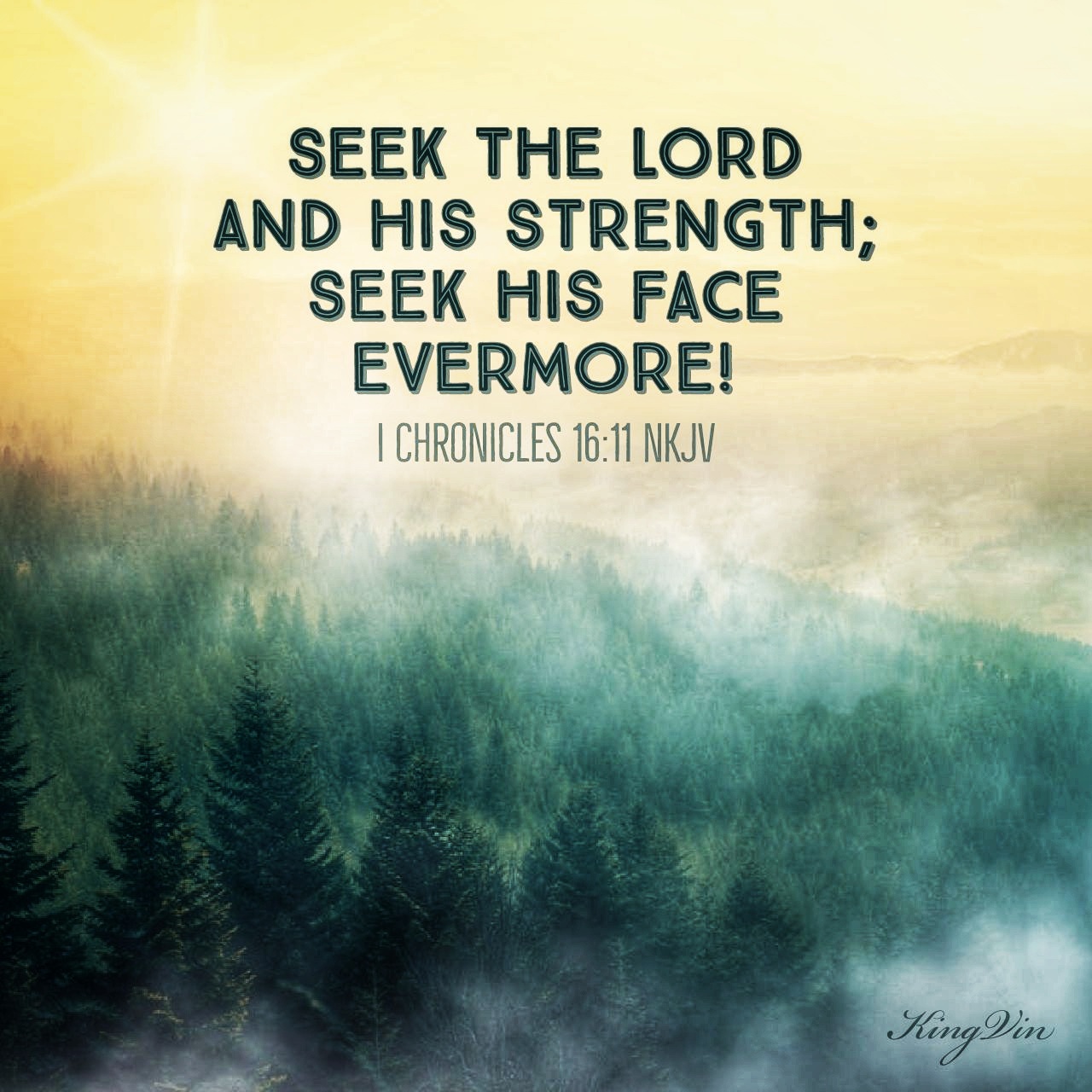 Seek the Lord and His strength; Seek His face evermore! I Chronicles 16:11 NKJV