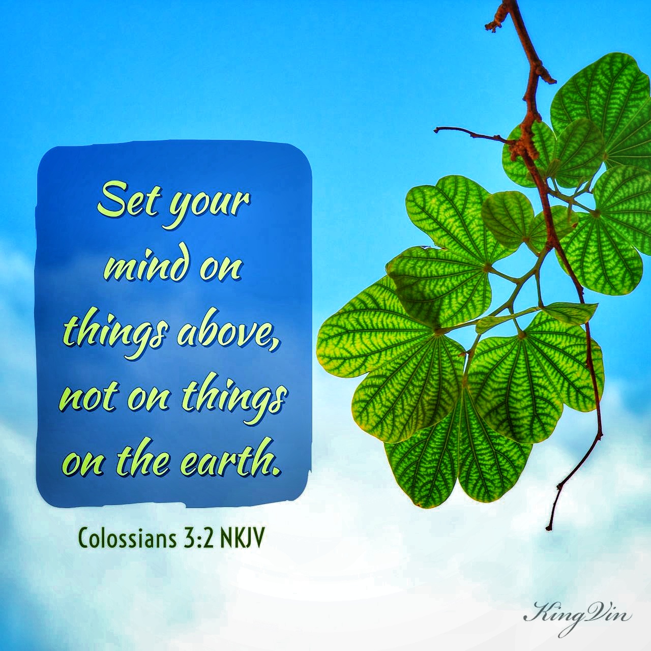 Set your mind on things above, not on things on the earth. Colossians 3:2 NKJV