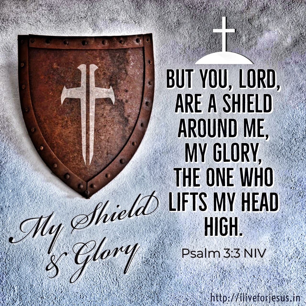 But you, Lord , are a shield around me, my glory, the One who lifts my head high. Psalm 3:3 NIV