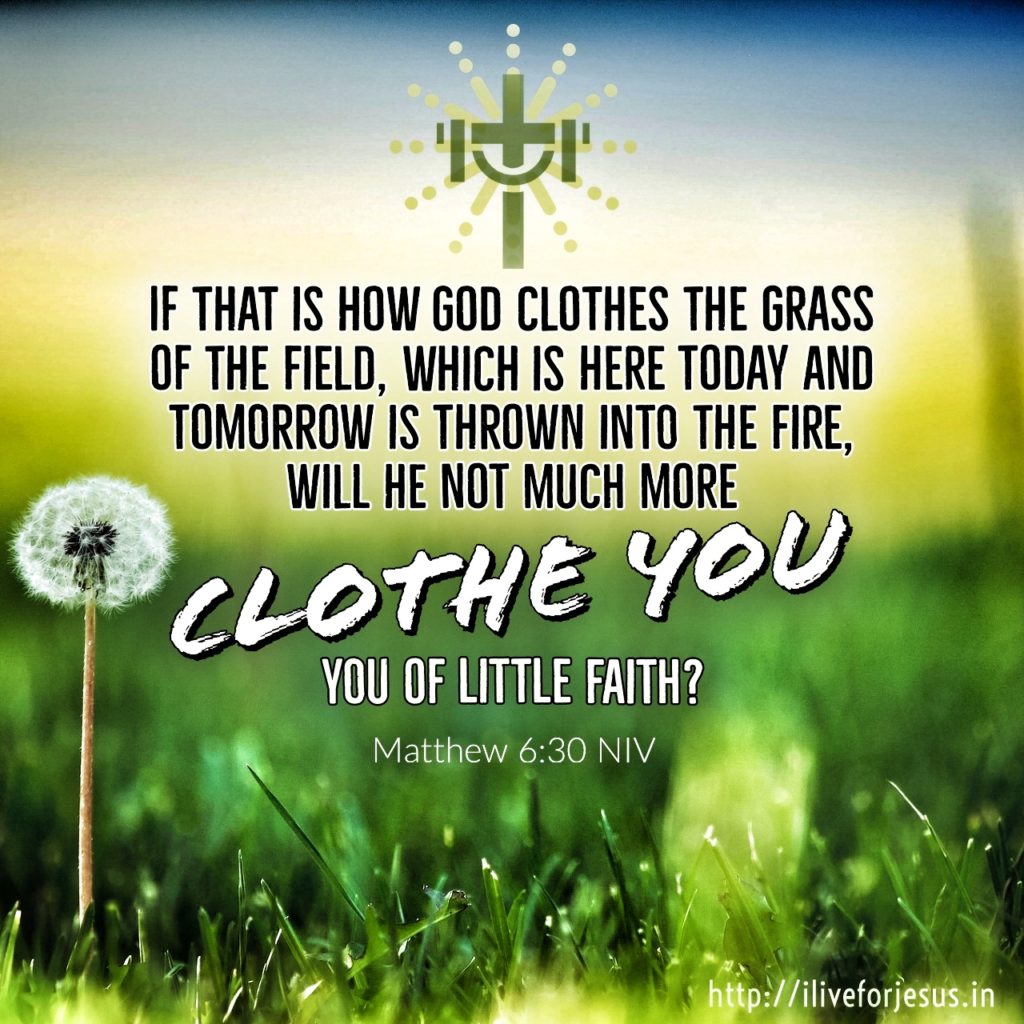 If that is how God clothes the grass of the field, which is here today and tomorrow is thrown into the fire, will he not much more clothe you—you of little faith? Matthew 6:30 NIV https://bible.com/bible/111/mat.6.30.NIV