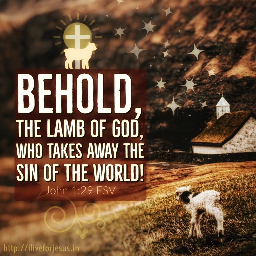 The next day he saw Jesus coming toward him, and said, "Behold, the Lamb of God, who takes away the sin of the world! John 1:29 ESV https://bible.com/bible/59/jhn.1.29.ESV