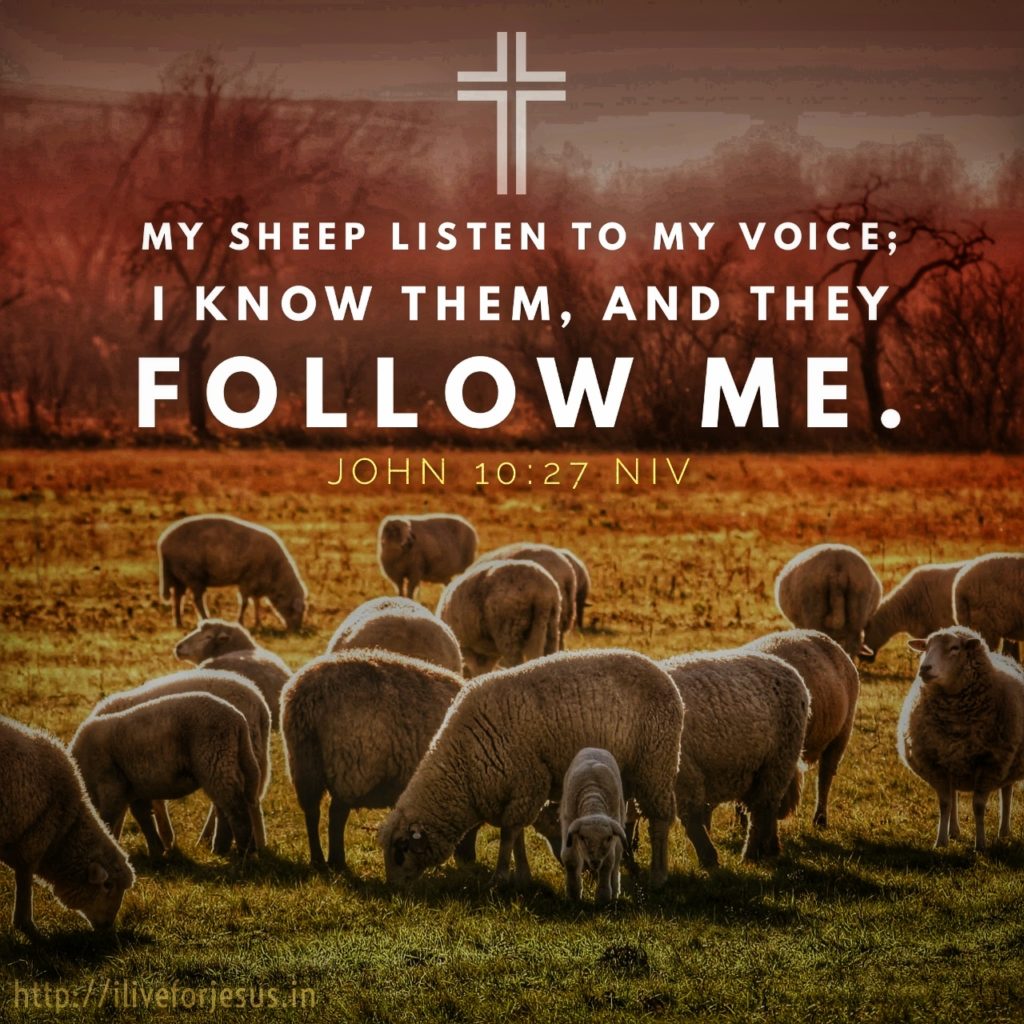 My sheep listen to my voice; I know them, and they follow me. John 10:27 NIV https://bible.com/bible/111/jhn.10.27.NIV