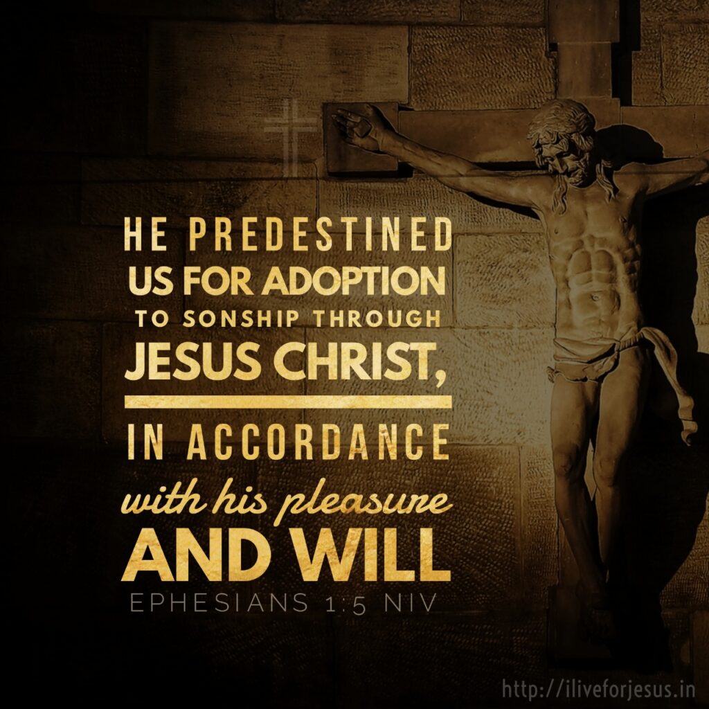 he predestined us for adoption to sonship through Jesus Christ, in accordance with his pleasure and will— Ephesians 1:5 NIV https://bible.com/bible/111/eph.1.5.NIV