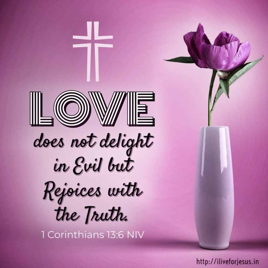 Love does not delight in evil but rejoices with the truth. 1 Corinthians 13:6 NIV https://bible.com/bible/111/1co.13.6.NIV