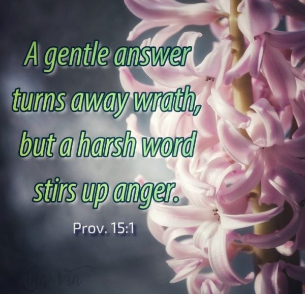 A gentle answer turns away wrath - I Live For JESUS