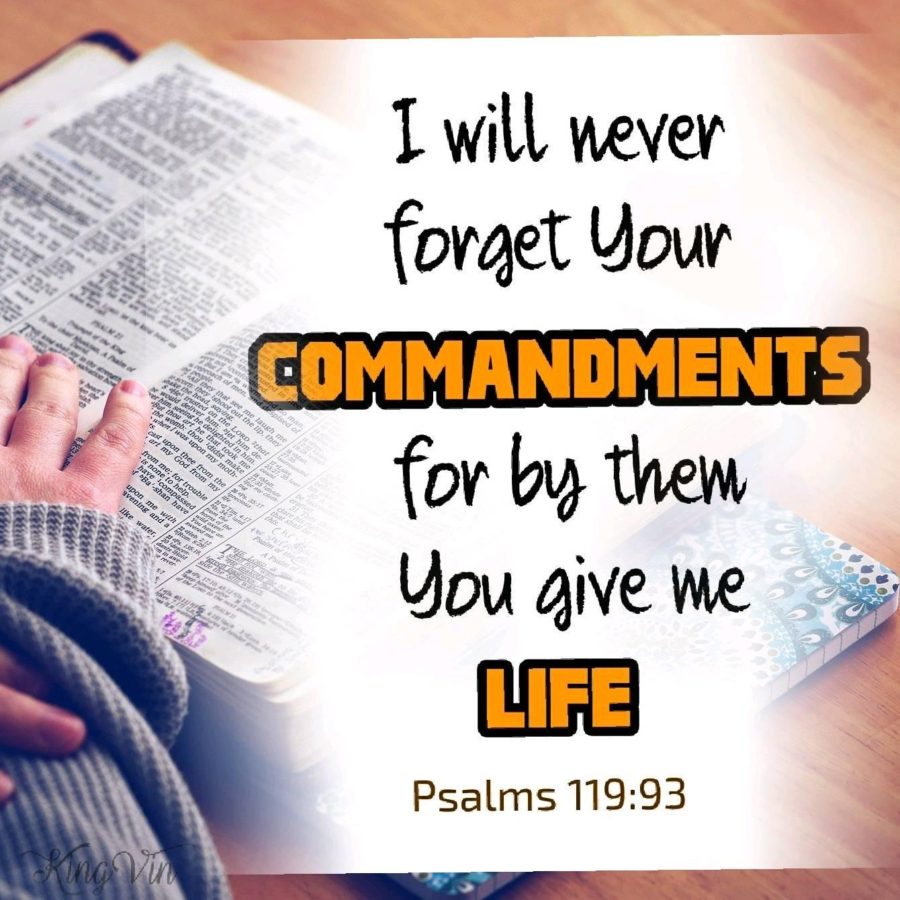 Never forget God's Commandments - I Live For JESUS