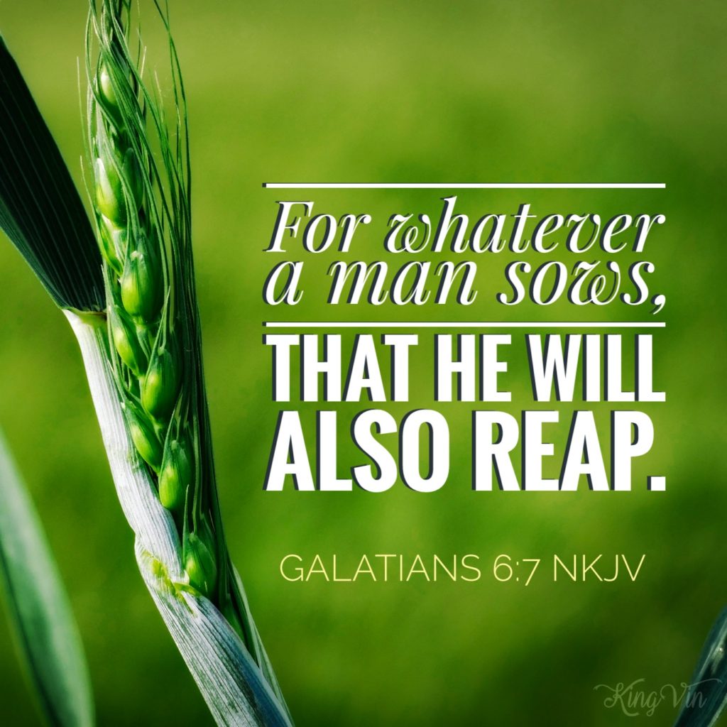 You Will Reap What You Sow In The Bible