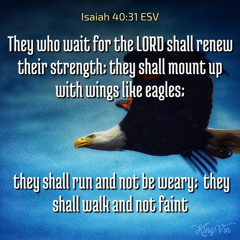 Wings like eagles I Live For JESUS