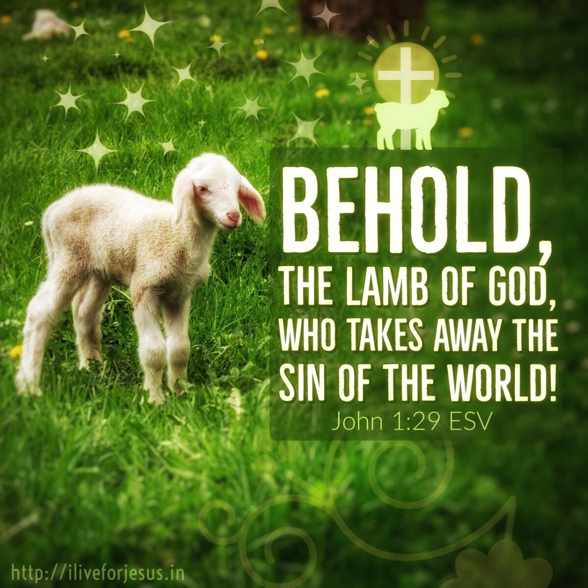 John 1 29 Archives I Live For Jesus