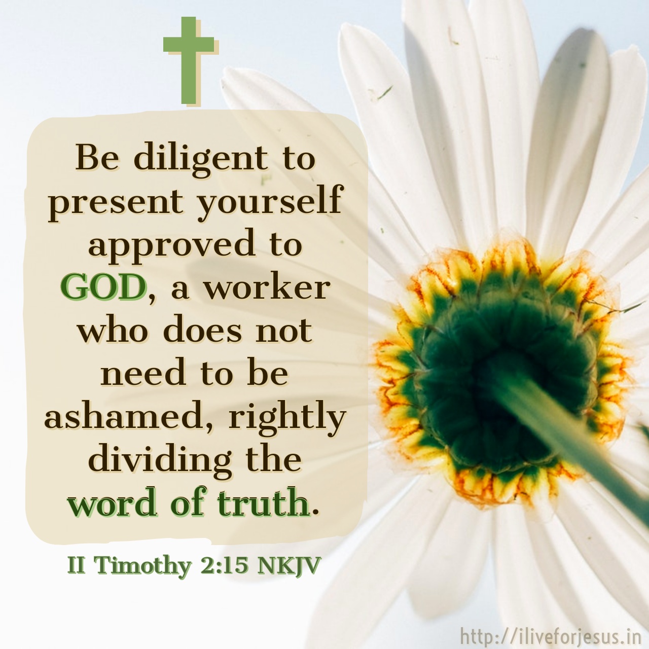 Approved To God I Live For JESUS