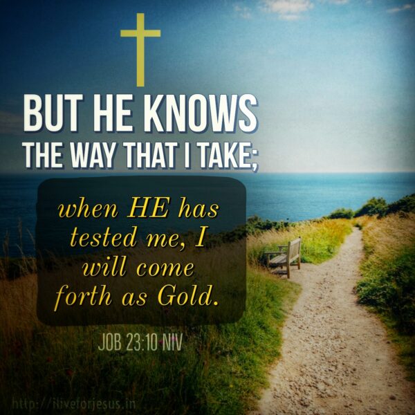 He Knows The Way - I Live For Jesus