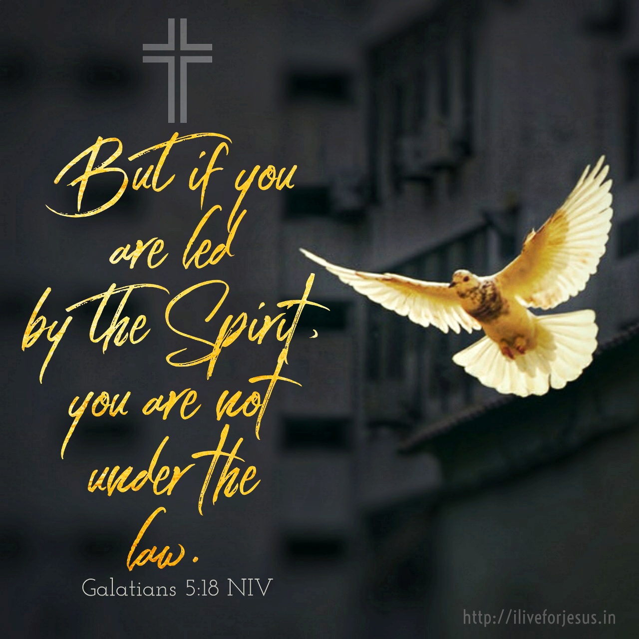 Led by the Spirit - I Live For JESUS