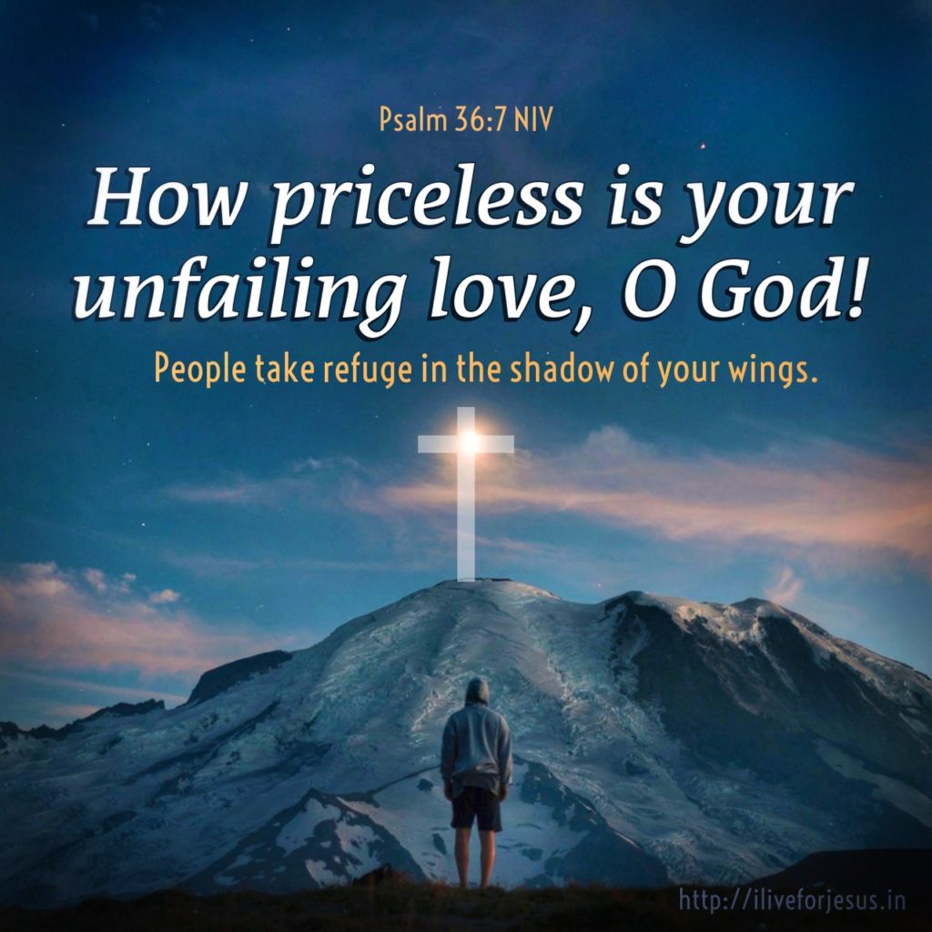 How priceless is your unfailing love, O God! People take refuge in the shadow of your wings.  Psalm 36:7 NIV  https://my.bible.com/bible/111/PSA.36.7.NIV