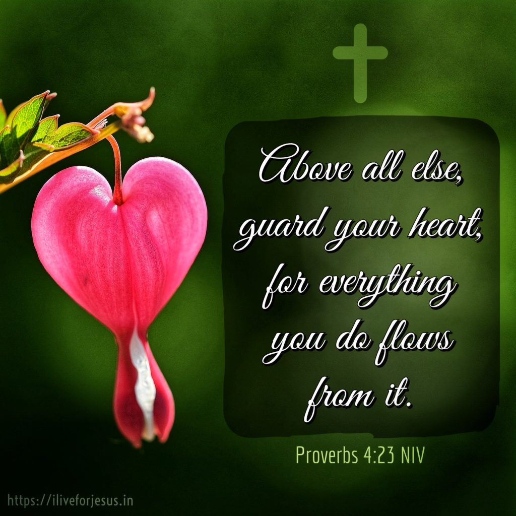 Above all else, guard your heart, for everything you do flows from it. Proverbs 4:23 NIV https://bible.com/bible/111/pro.4.23.NIV