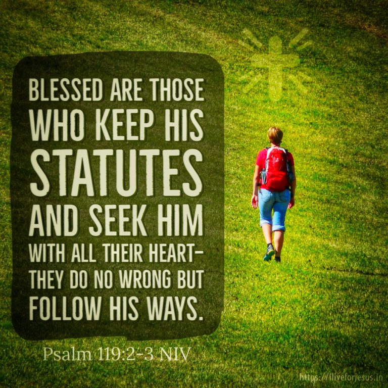 Keep His Statutes I Live For JESUS