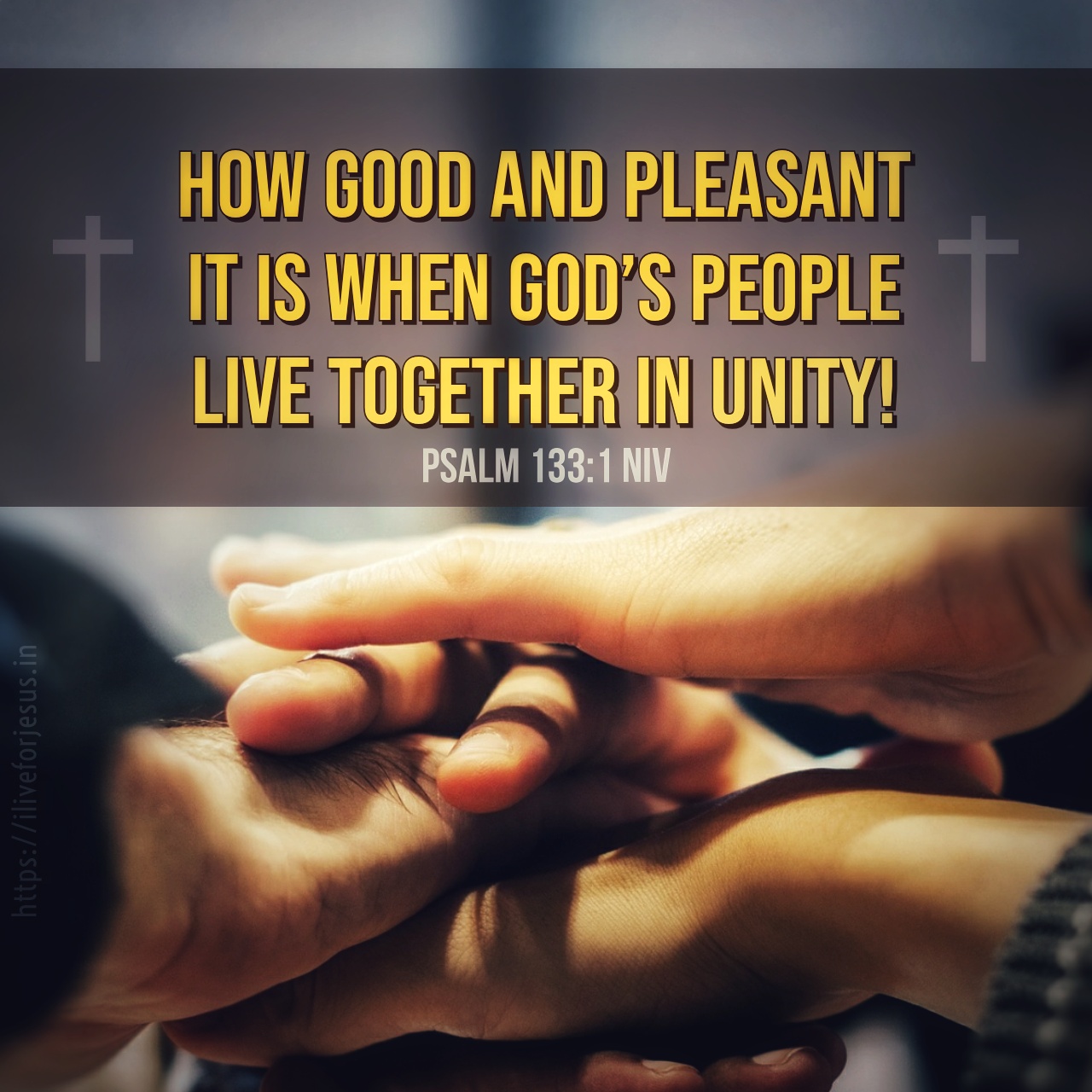 Live Together In Unity I Live For JESUS