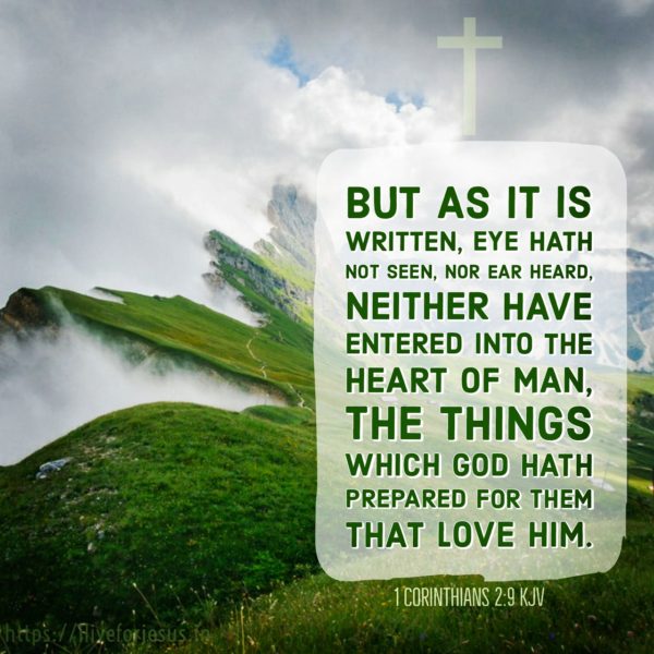 No Eye has Seen I Live For JESUS