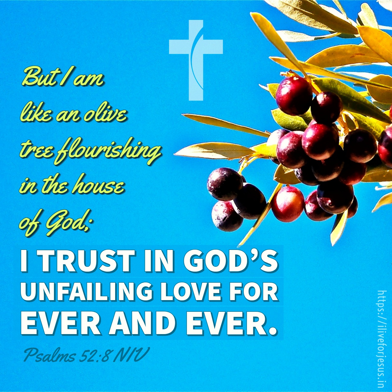 god-s-unfailing-love-i-live-for-jesus