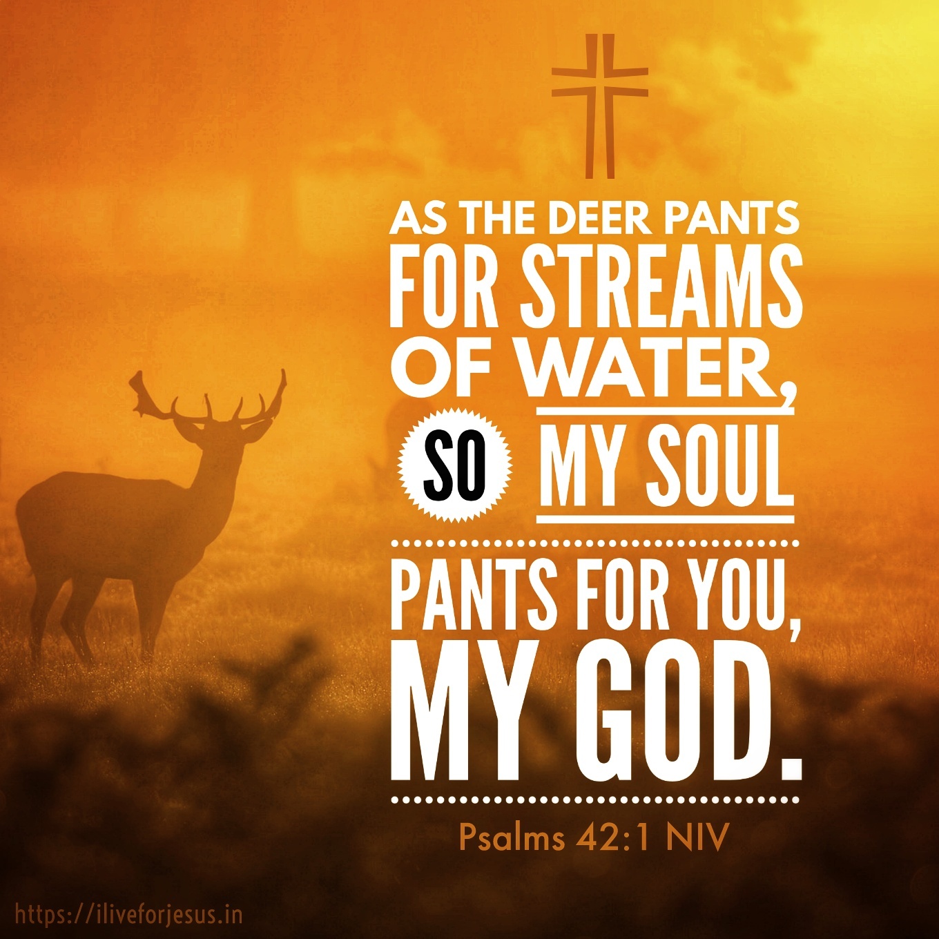 As the Deer Pants - I Live For JESUS