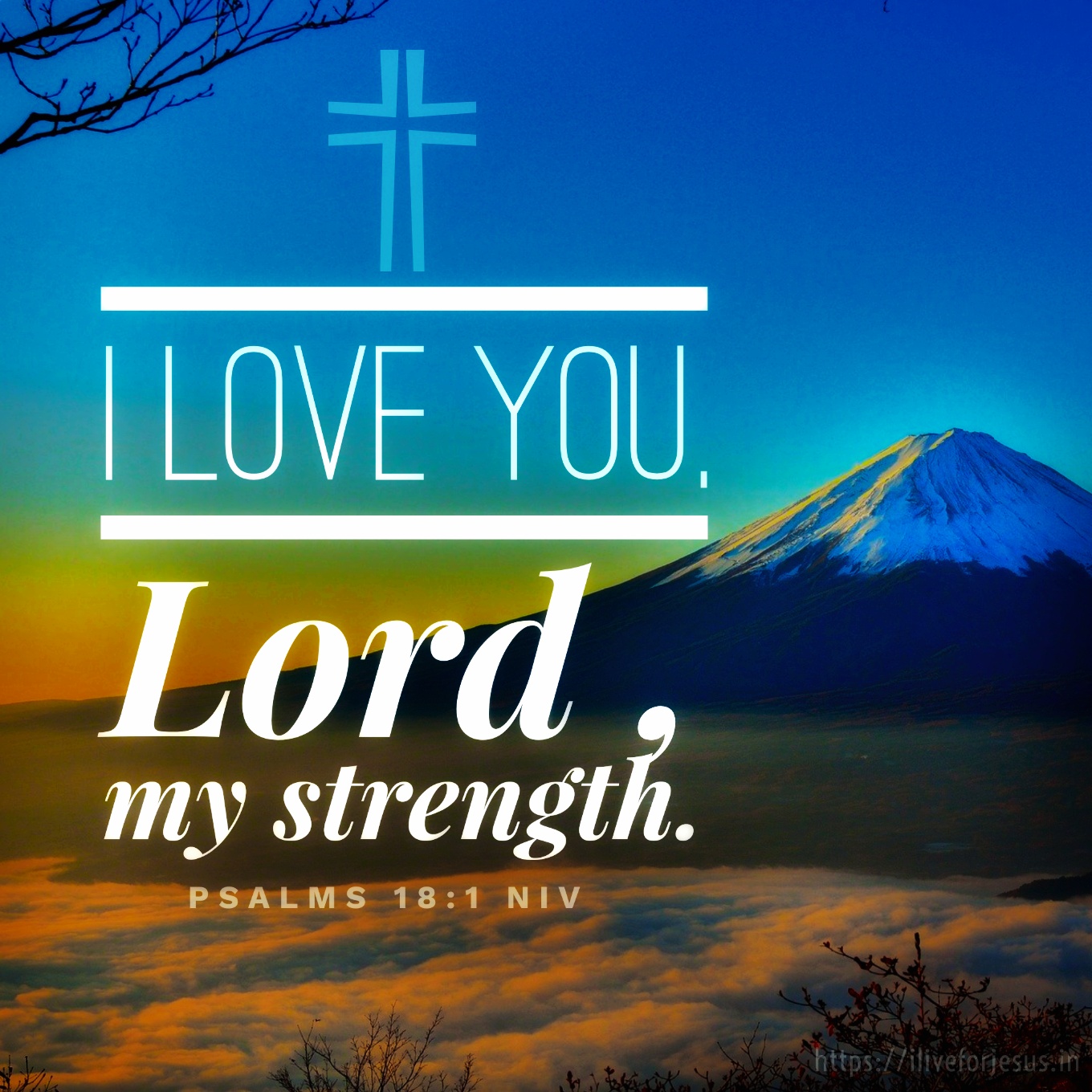 the-lord-is-my-strength-i-live-for-jesus