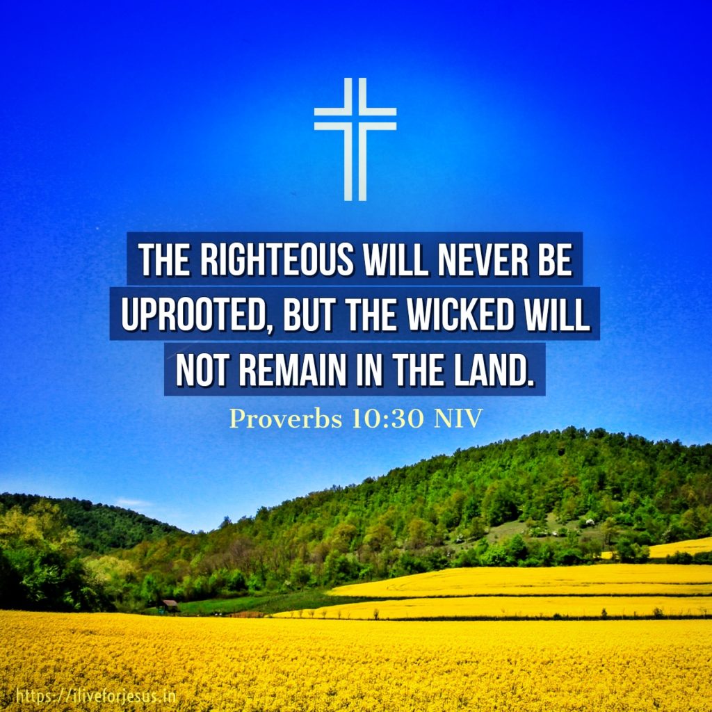 The righteous will never be uprooted, but the wicked will not remain in the land. Proverbs 10:30 NIV https://proverbs.bible/proverbs-10-30