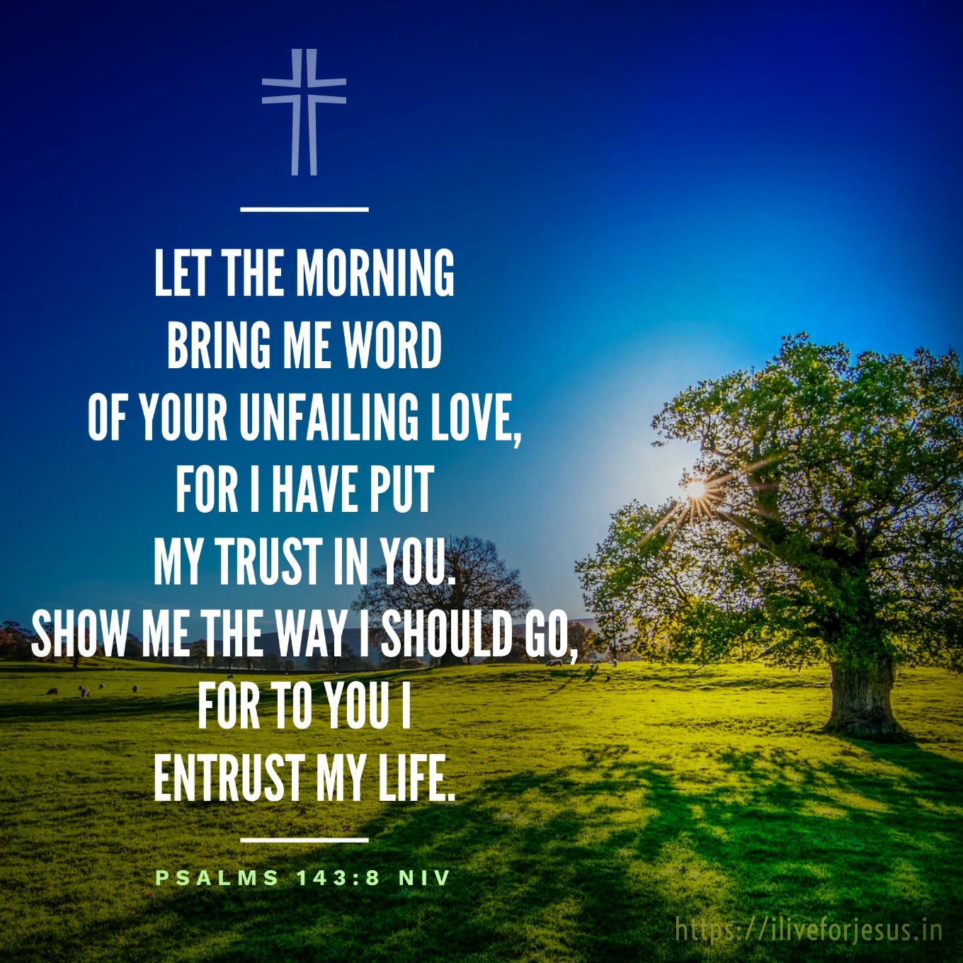 Bring Me Word - I Live For JESUS