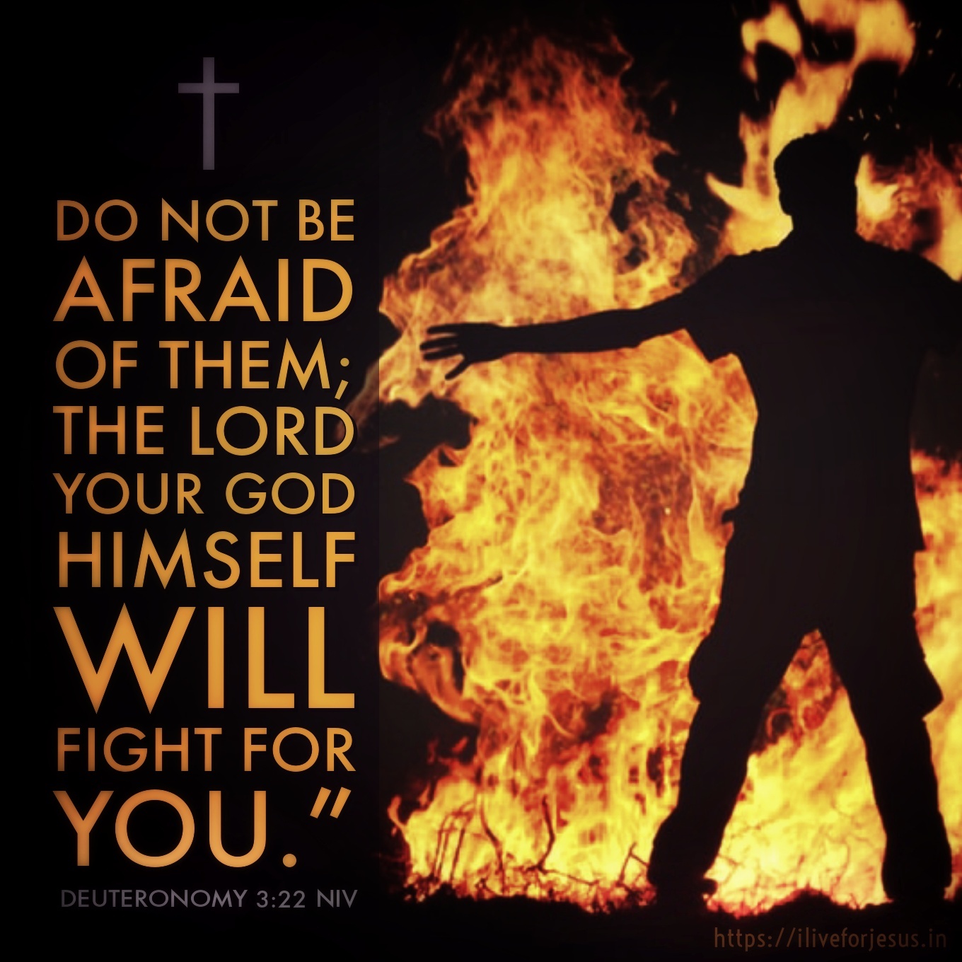 will-fight-for-you-i-live-for-jesus