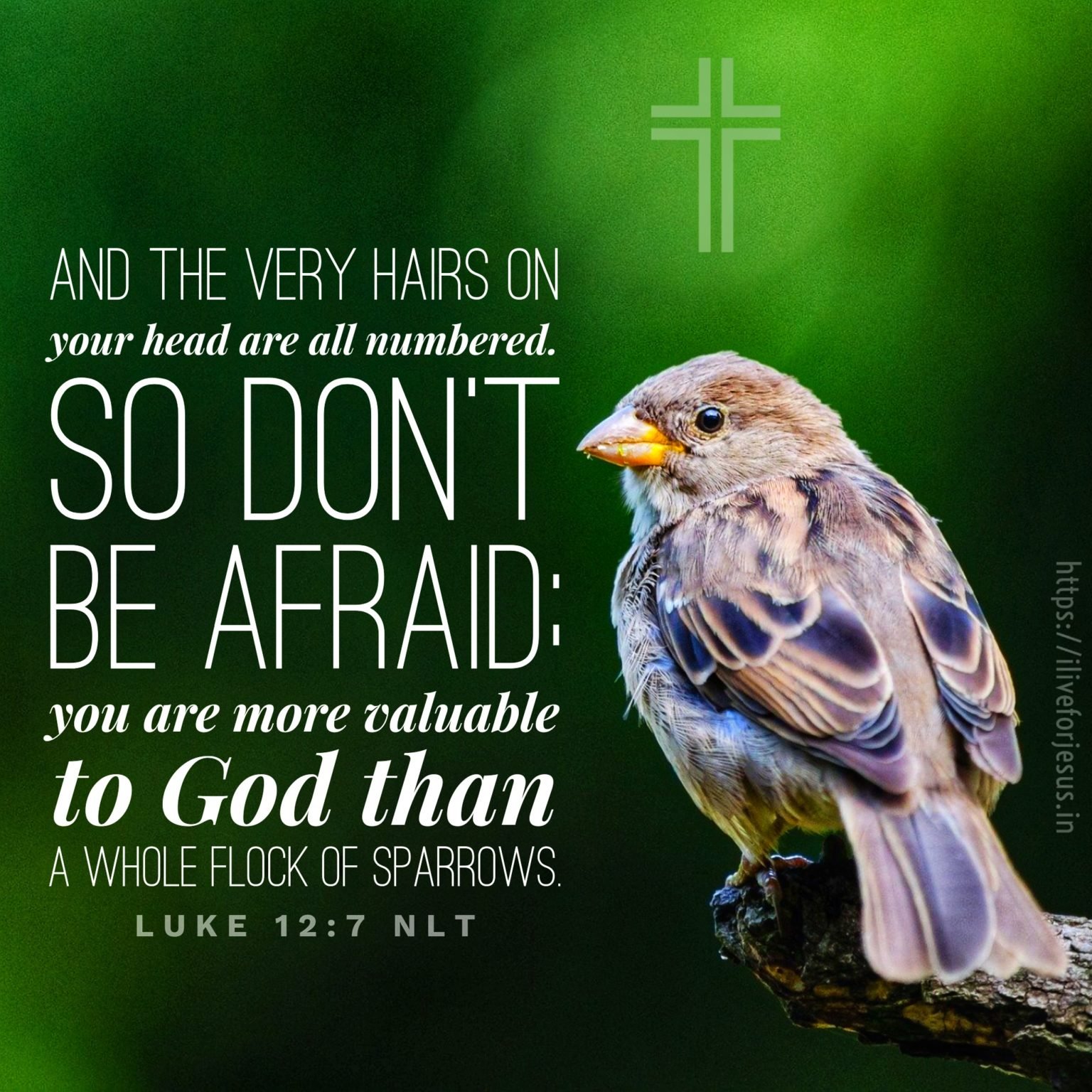 More valuable to God - I Live For JESUS