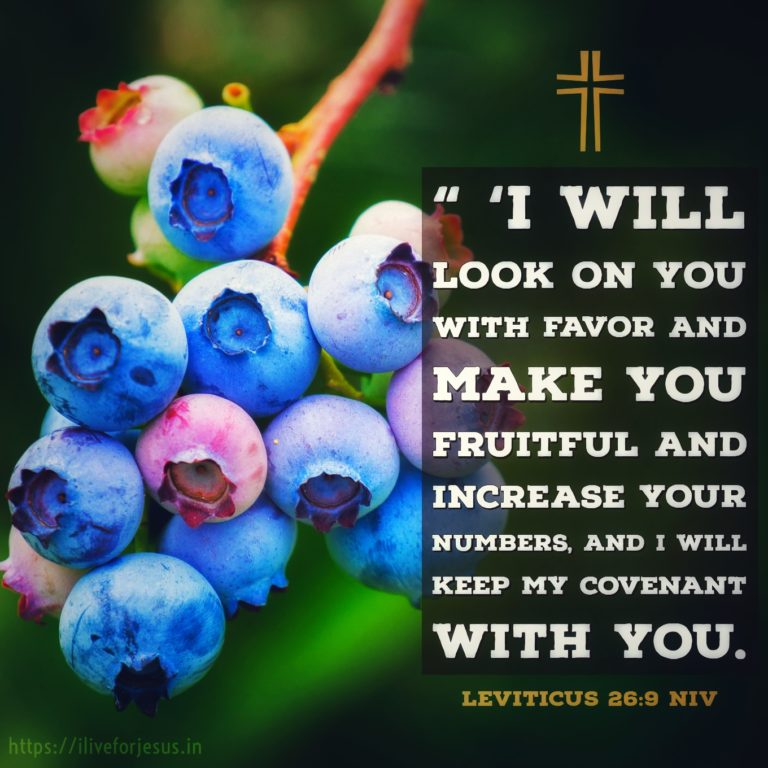 Make You Fruitful – I Live For JESUS