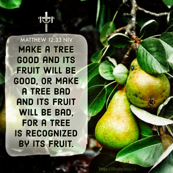 Recognized by its Fruit - I Live For JESUS