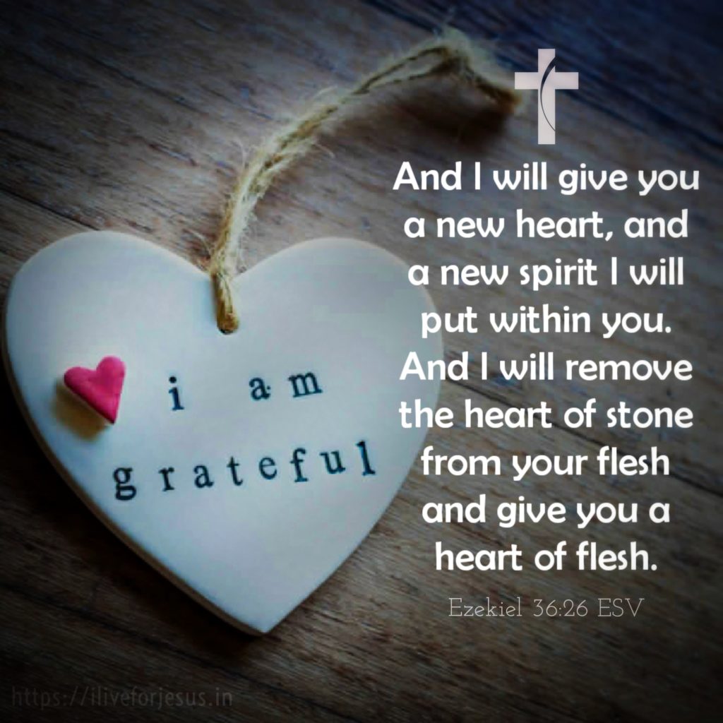 And I will give you a new heart, and a new spirit I will put within you. And I will remove the heart of stone from your flesh and give you a heart of flesh. Ezekiel 36:26 ESV https://bible.com/bible/59/ezk.36.26.ESV