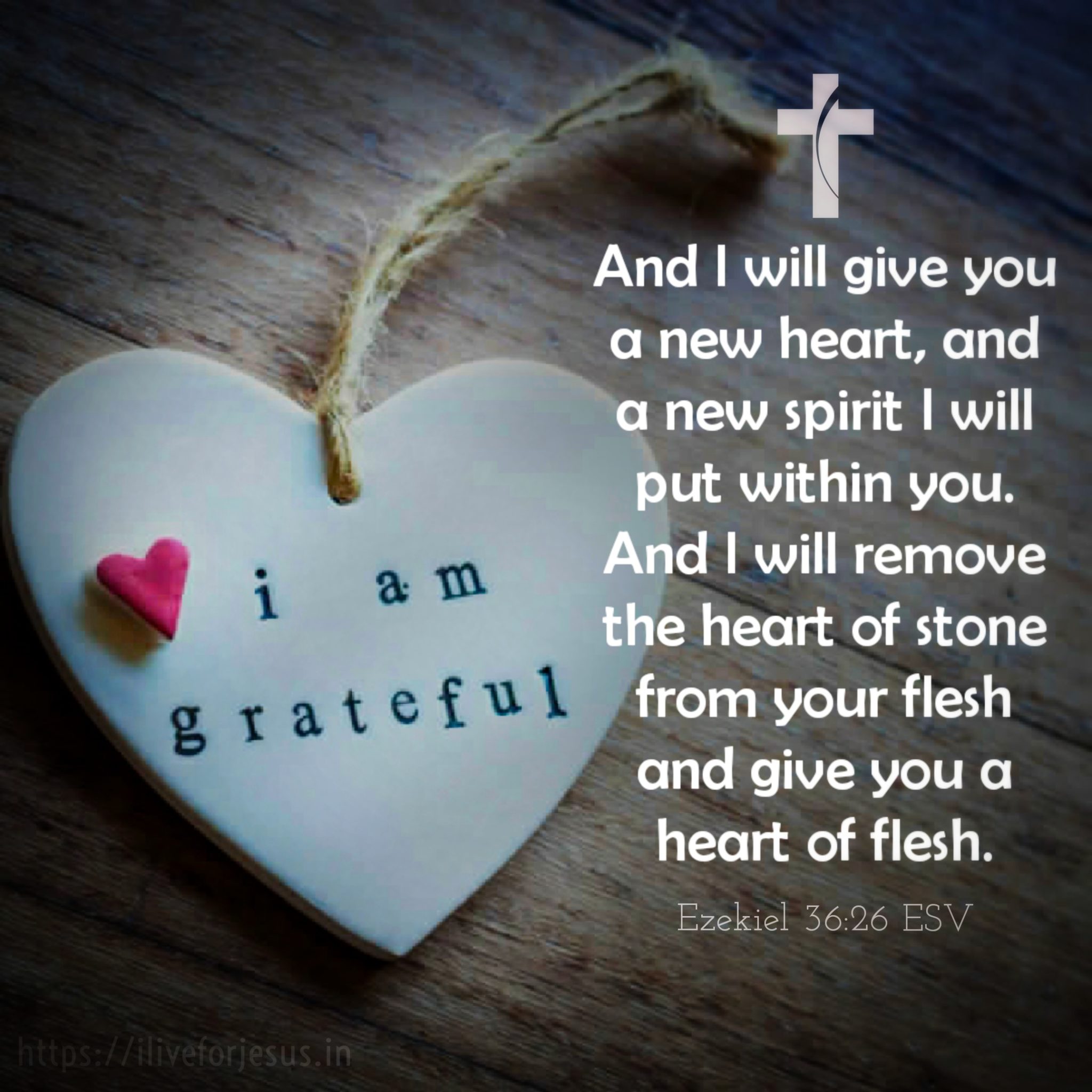 New Heart I Live For Jesus