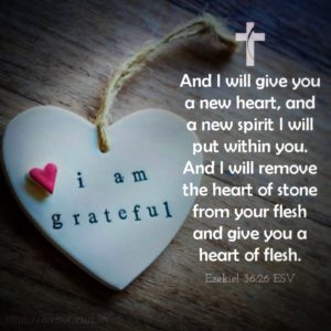 New Heart - I Live For Jesus