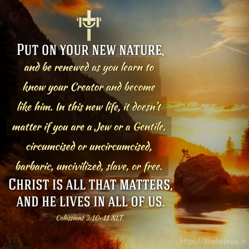 Colossians 3 10 11 Archives I Live For Jesus
