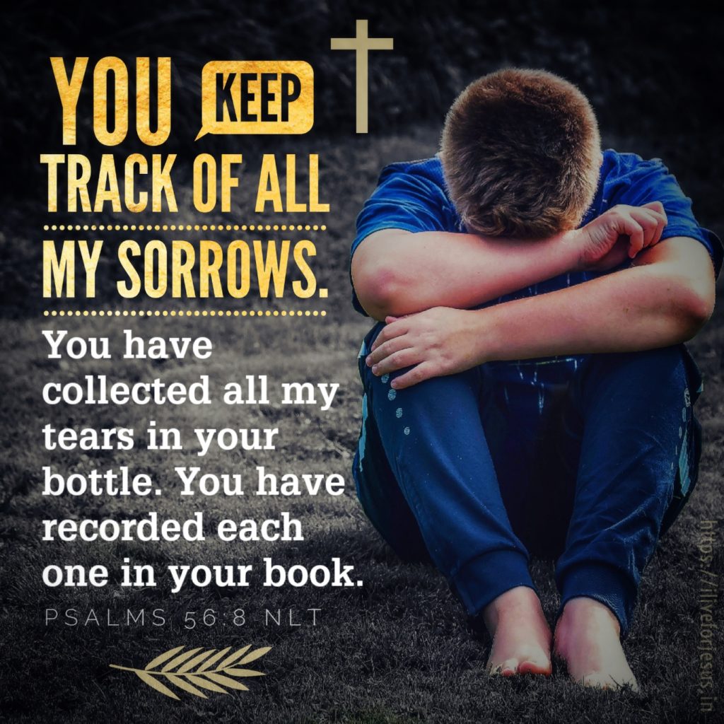 You keep track of all my sorrows. You have collected all my tears in your bottle. You have recorded each one in your book. Psalms 56:8 NLT https://bible.com/bible/116/psa.56.8.NLT