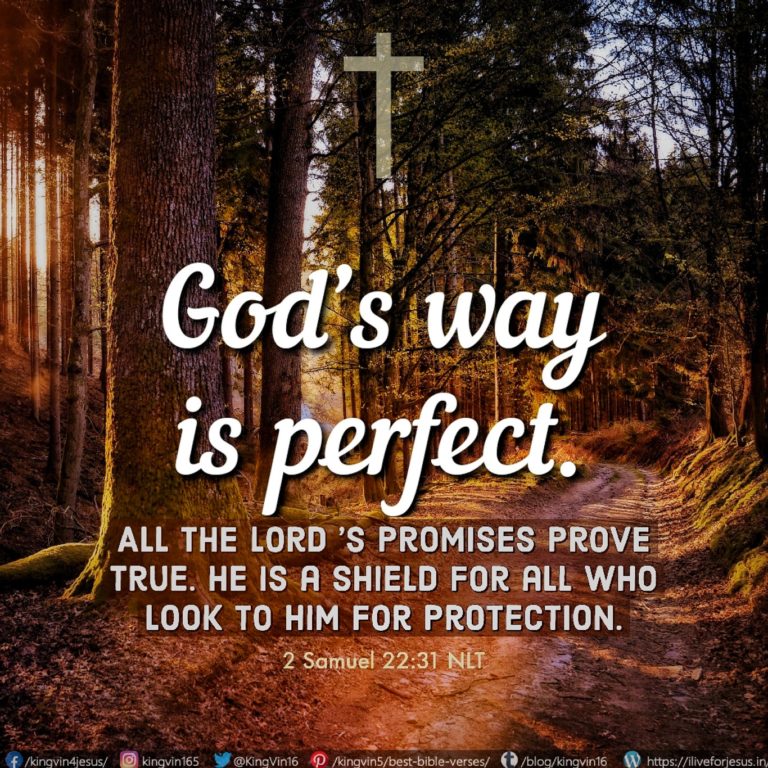 God's Way is Perfect - I Live For JESUS