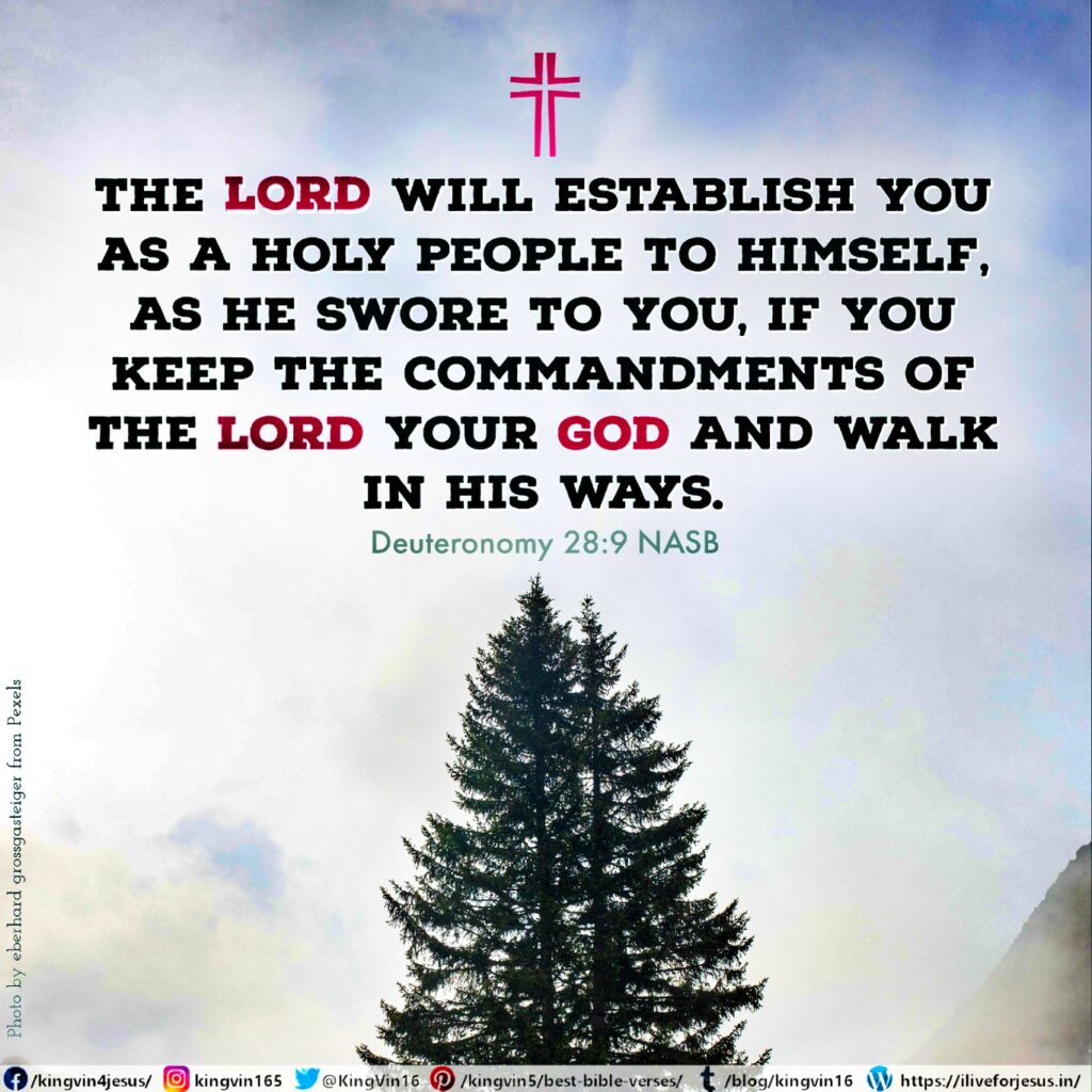 The Lord will establish you as a holy people to Himself, as He swore to you, if you keep the commandments of the Lord your God and walk in His ways. Deuteronomy 28:9 NASB https://bible.com/bible/100/deu.28.9.NASB