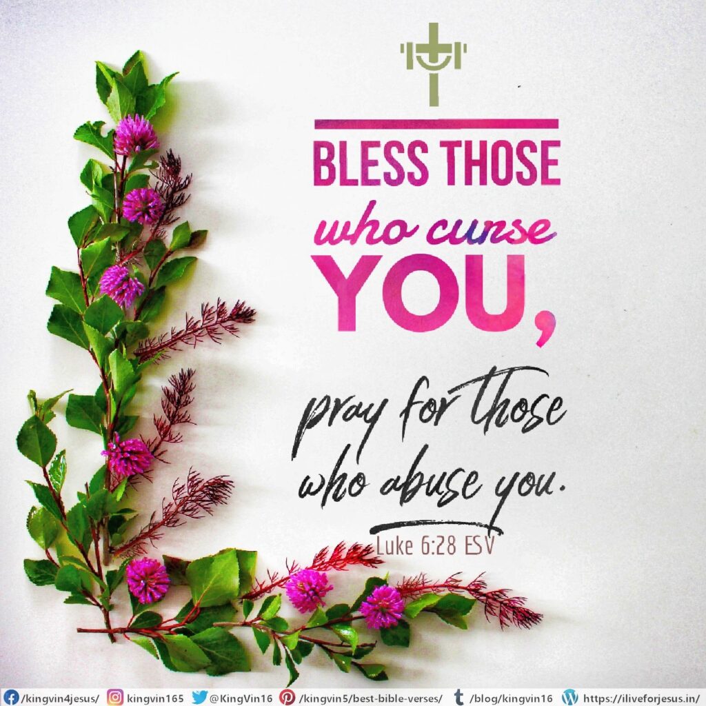 bless those who curse you, pray for those who abuse you. Luke 6:28 ESV https://bible.com/bible/59/luk.6.28.ESV