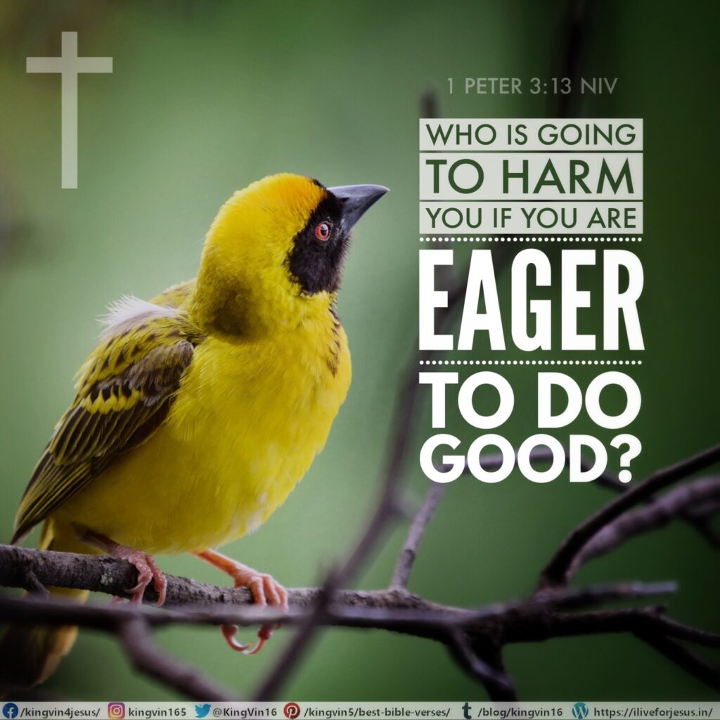 Who is going to harm you if you are eager to do good? 1 Peter 3:13 NIV https://1peter.bible/1-peter-3-13