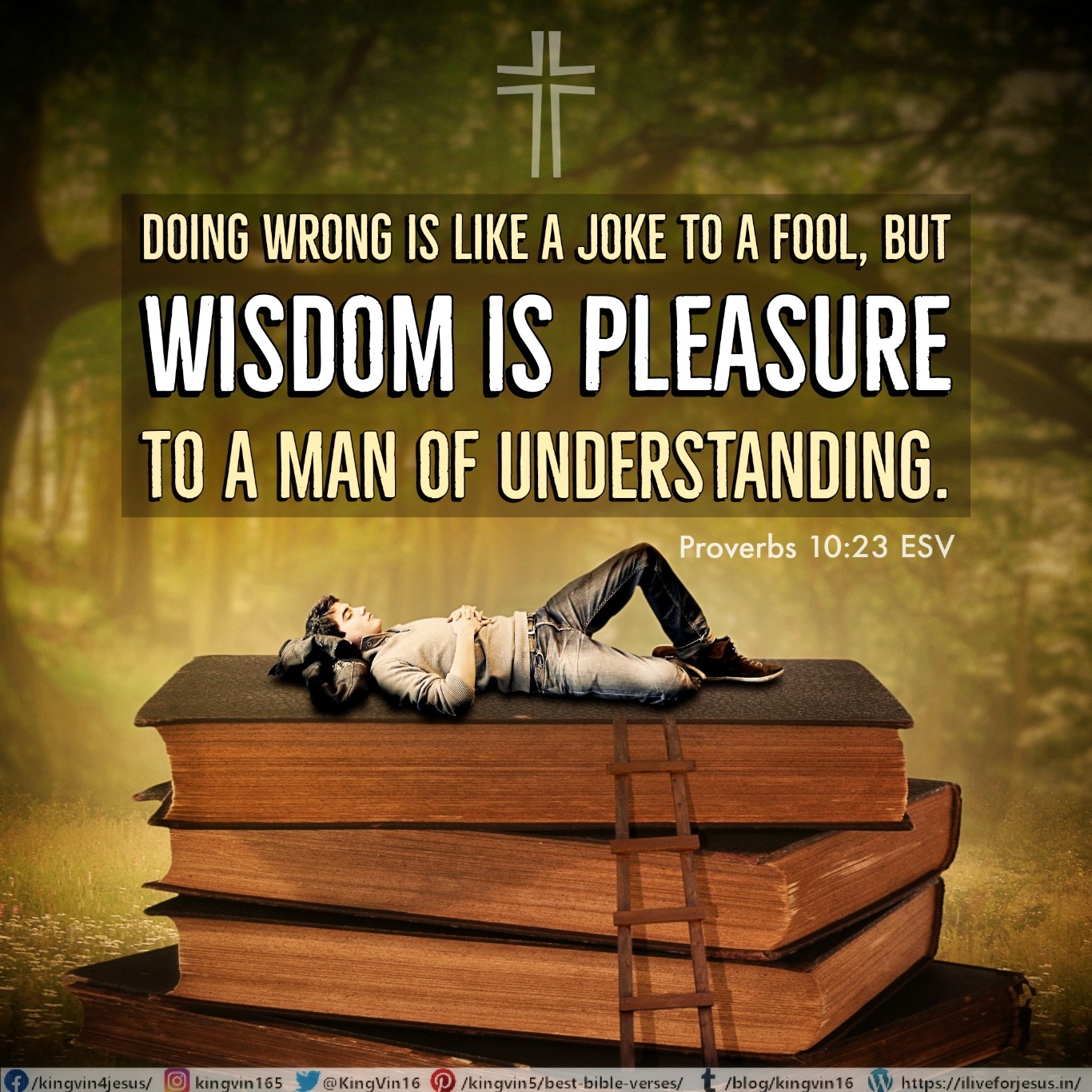 wisdom-is-pleasure-i-live-for-jesus