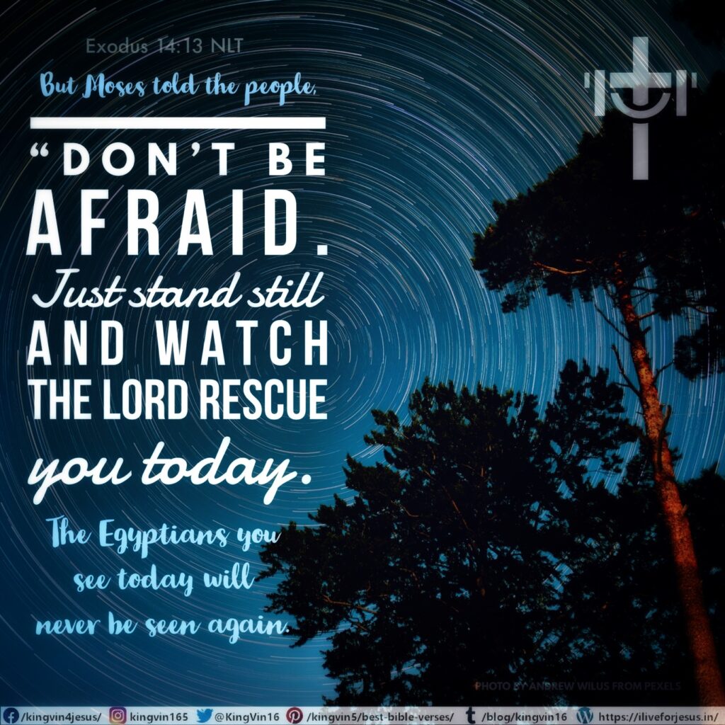 But Moses told the people, “Don’t be afraid. Just stand still and watch the Lord rescue you today. The Egyptians you see today will never be seen again. Exodus 14:13 NLT https://bible.com/bible/116/exo.14.13.NLT