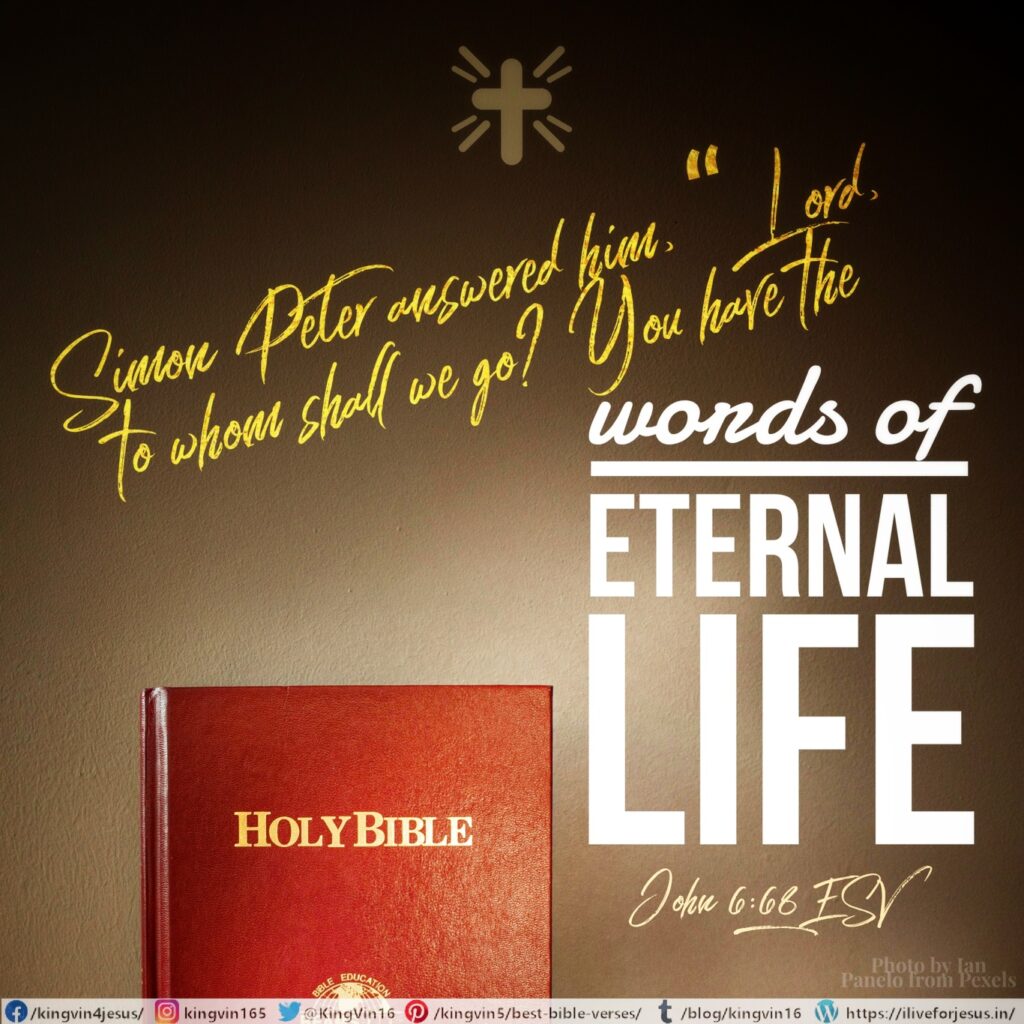 Simon Peter answered him, “Lord, to whom shall we go? You have the words of eternal life, John 6:68 ESV https://bible.com/bible/59/jhn.6.68.ESV
