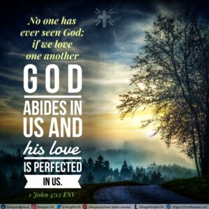 God Abides in Us - I Live For JESUS