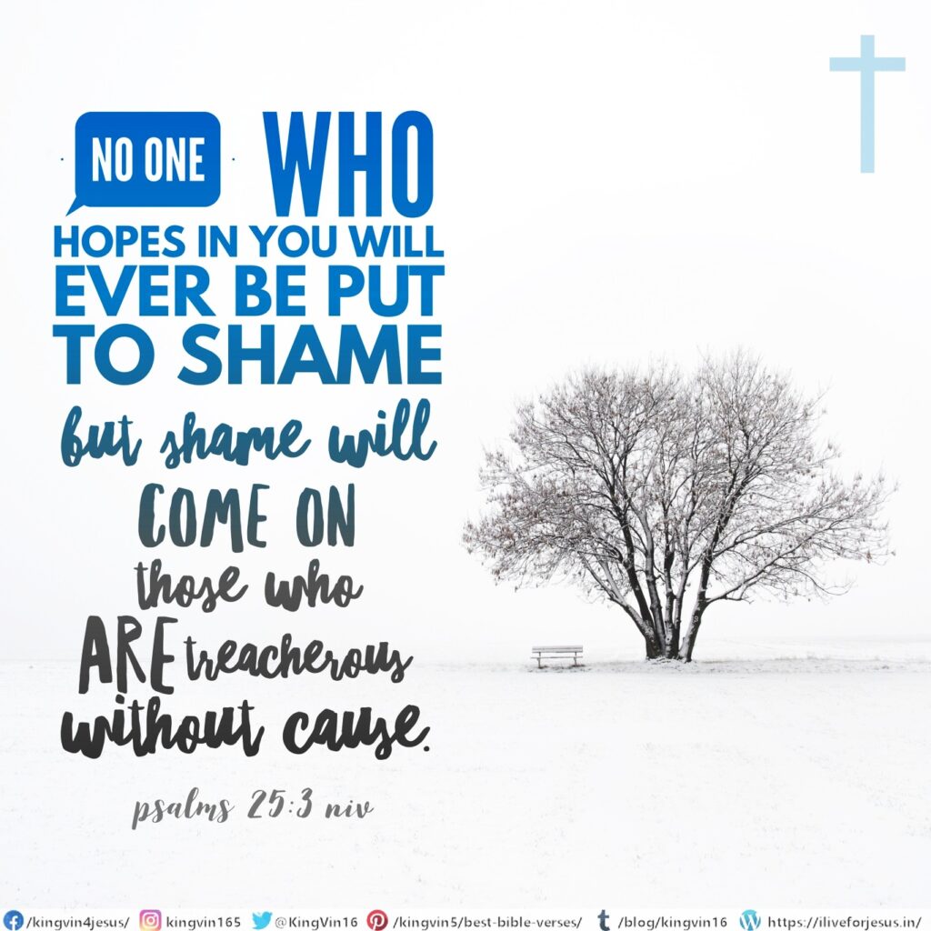 No one who hopes in you will ever be put to shame, but shame will come on those who are treacherous without cause. Psalms 25:3 NIV https://psalm.bible/psalm-25-3