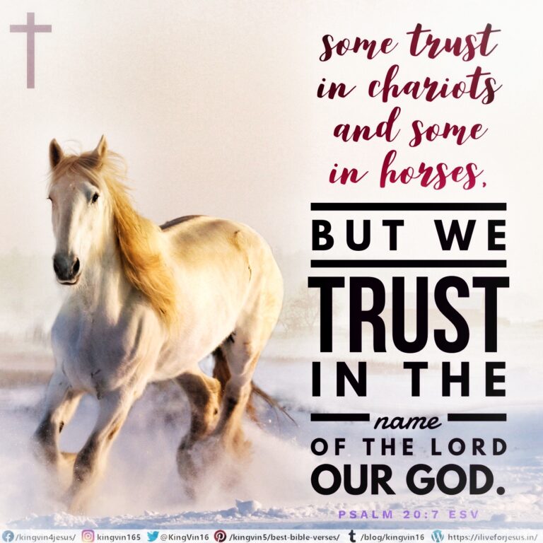 trust in chariots Archives - I Live For JESUS