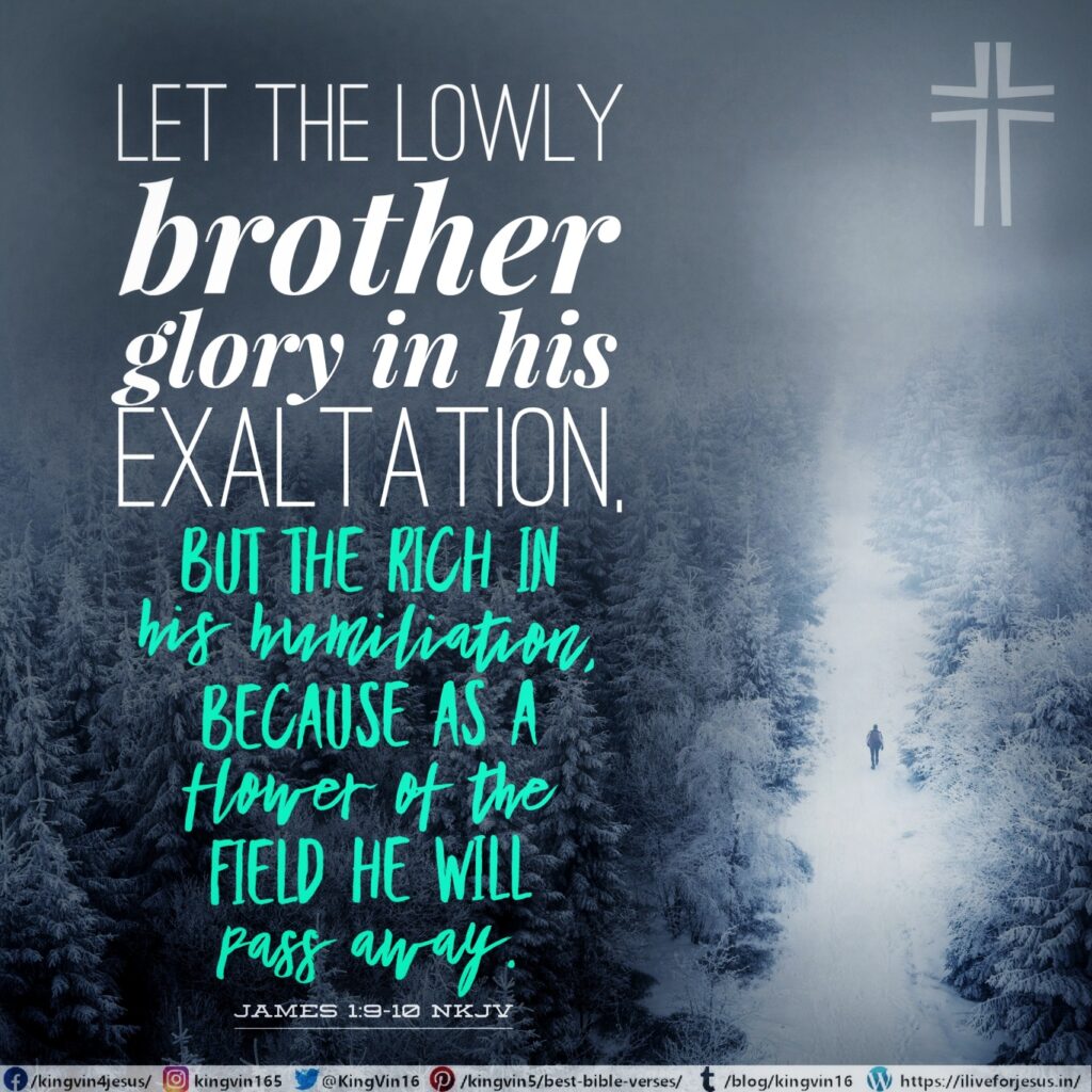 Let the lowly brother glory in his exaltation, but the rich in his humiliation, because as a flower of the field he will pass away. James 1:9‭-‬10 NKJV https://bible.com/bible/114/jas.1.9-10.NKJV