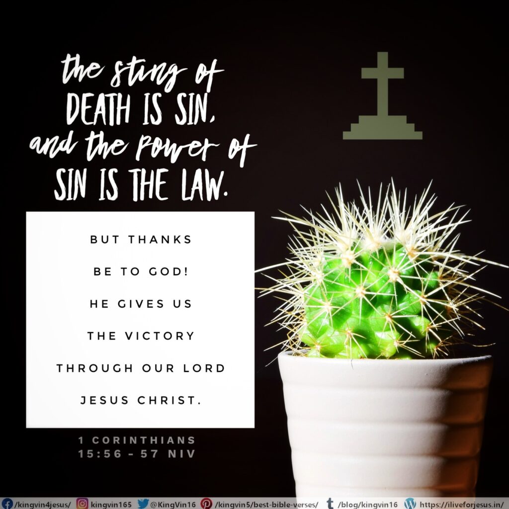 The sting of death is sin, and the power of sin is the law. But thanks be to God! He gives us the victory through our Lord Jesus Christ. 1 Corinthians 15:56‭-‬57 NIV https://bible.com/bible/111/1co.15.56-57.NIV