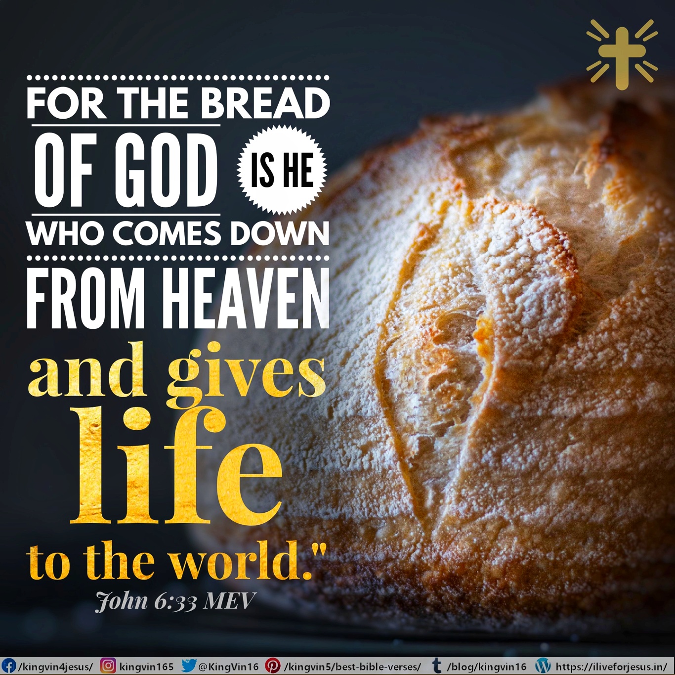 Bread of God – I Live For JESUS !