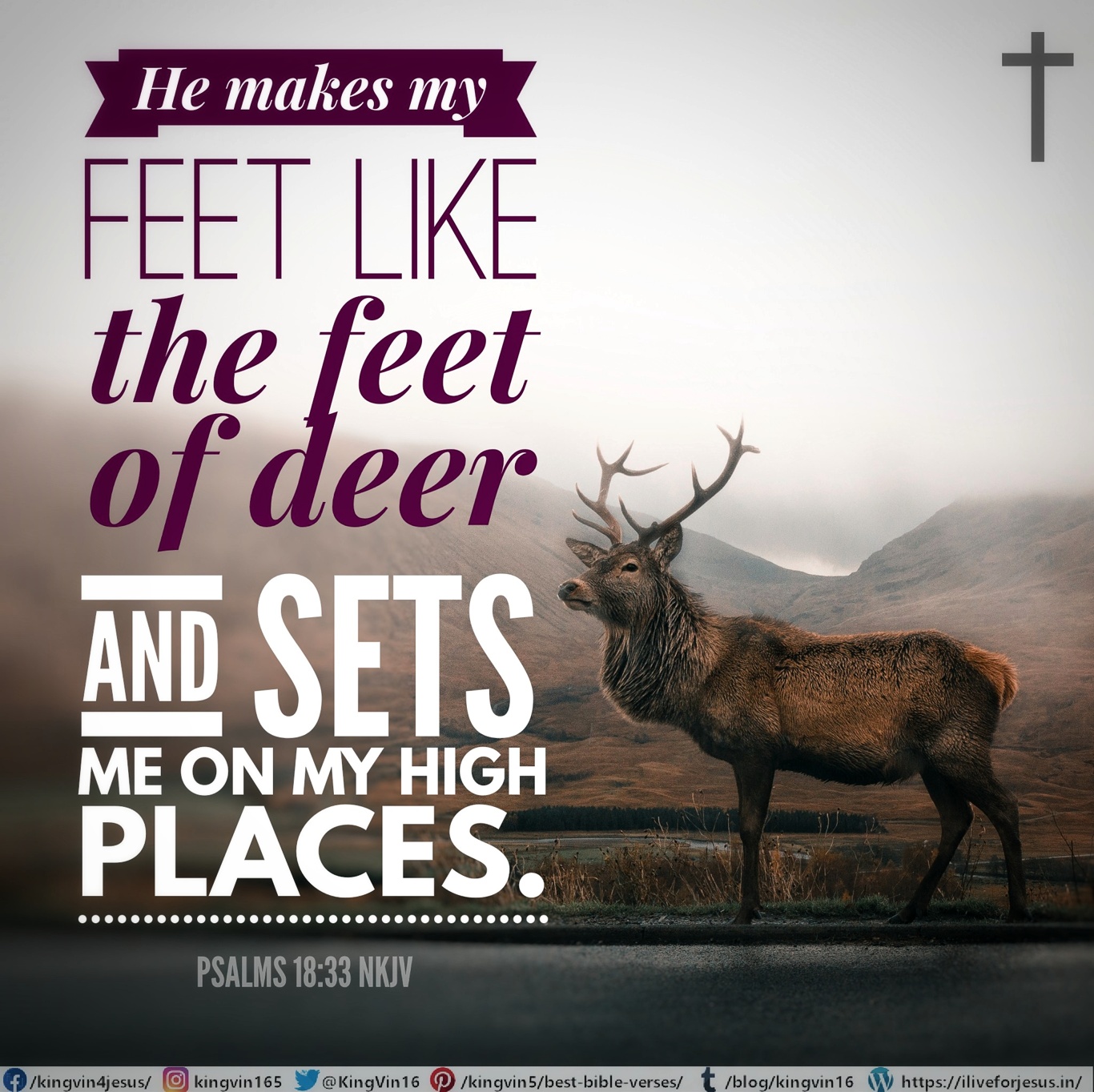 Feet Of Deer – I Live For Jesus !